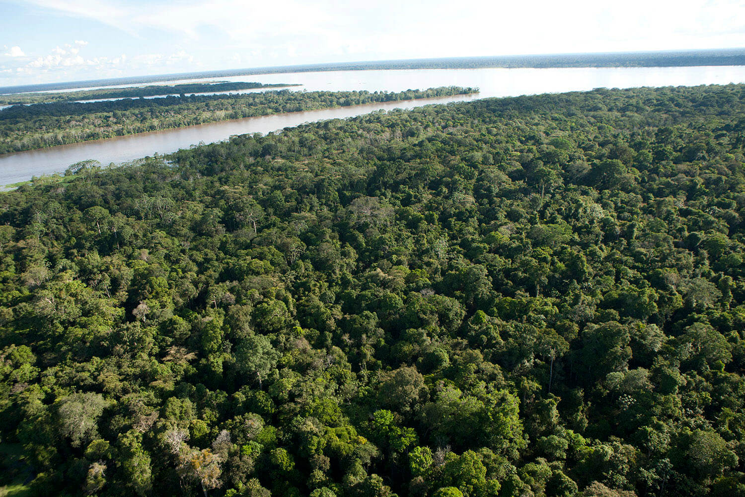 11AMAZONAS slider 6_MG_4273.jpg